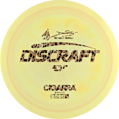 ESP Anthony Barela Cigarra