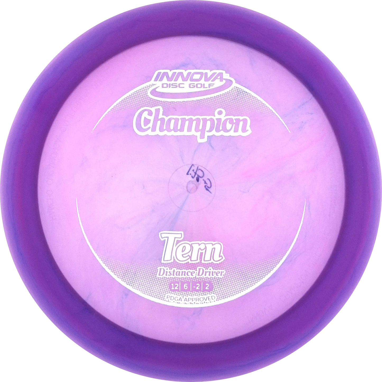 Champion Tern