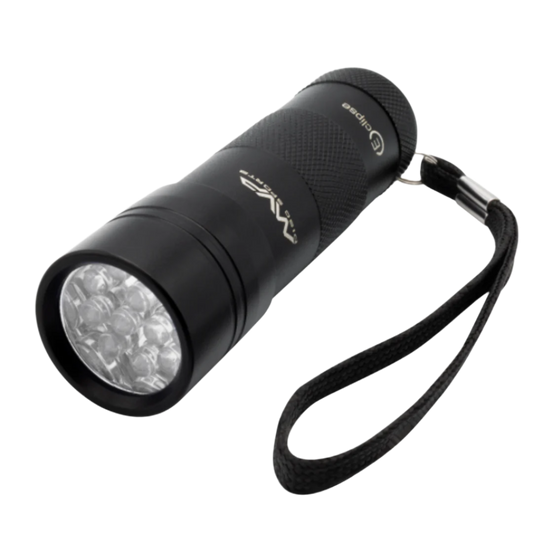 Compact UV Flashlight