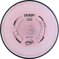Neutron Entropy