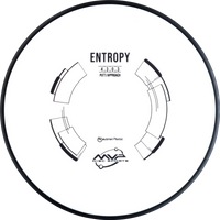 Neutron Entropy