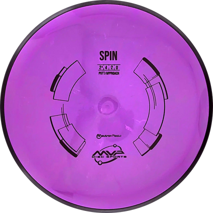 Neutron Spin
