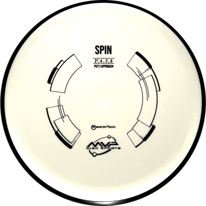 Neutron Spin