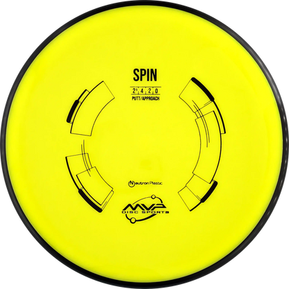 Neutron Spin